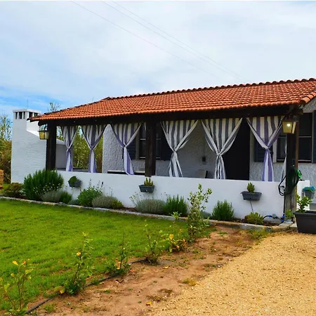 Casa Da Albino Holiday home
