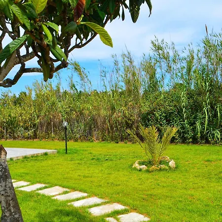 Holiday home Casa Da Albino