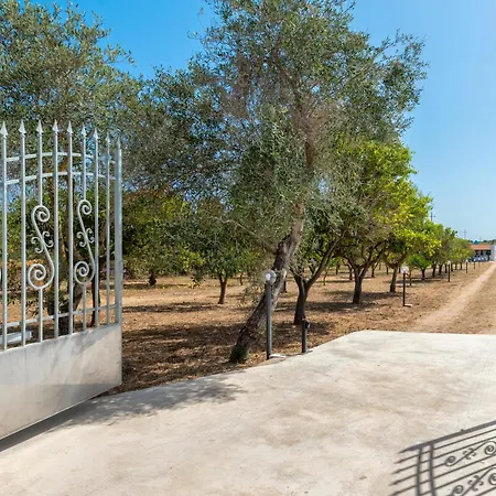 Casa Da Albino *